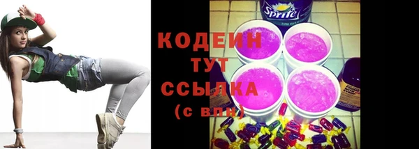 крисы Армянск