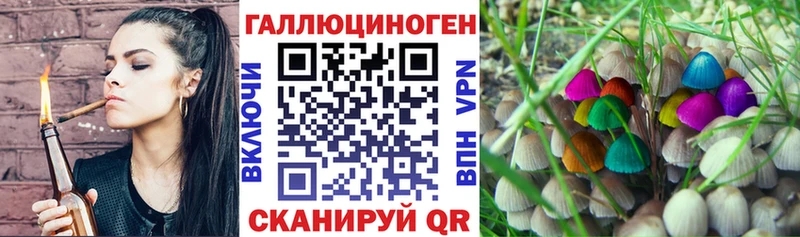 Псилоцибиновые грибы прущие грибы  Бабаево 
